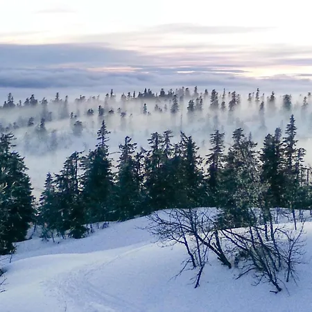 3 Bedroom Awesome In *