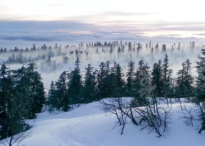 3 Bedroom Awesome In *